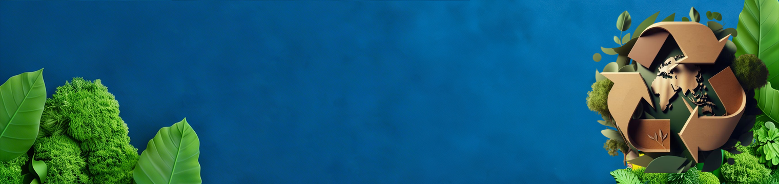 Environmental Sustainability